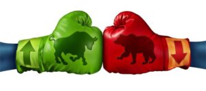 Боксерские перчатки с рисунками быка и медведя