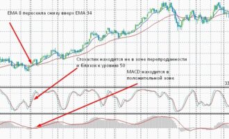 Дикая река» — стратегия с долгосрочными целями