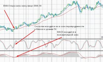 Дикая река» – стратегия с долгосрочными целями